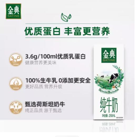 伊利金典纯牛奶250ml/盒 商品图3