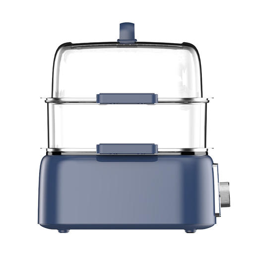 九阳电蒸锅DZ100HG-GZ666 商品图2