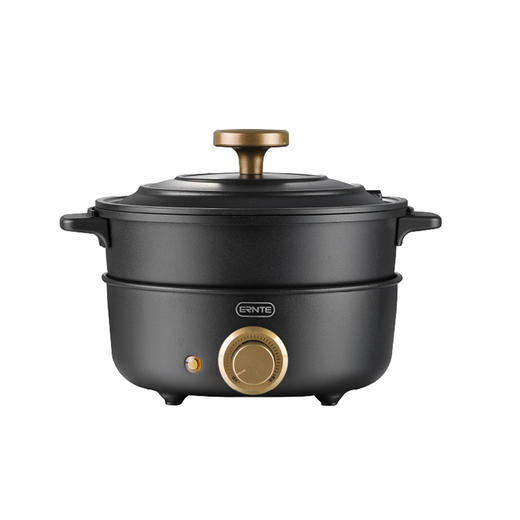 德国ernte电小火锅家用多功能料理一体网红锅蒸煮炒煎电烧烤肉锅 商品图4