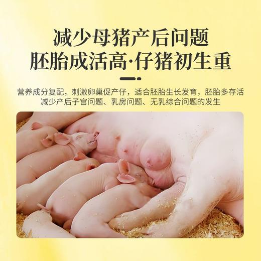华畜怀孕母猪全价料乳腺丰满防便秘仔猪初生补充营养妊娠保健饲料 商品图5