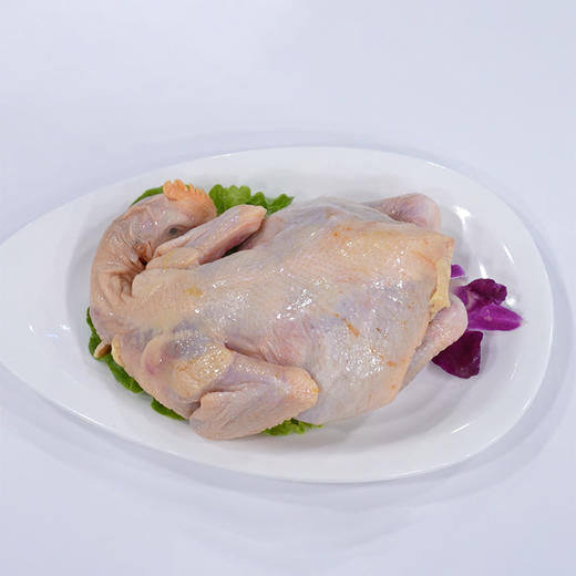 【中国供销合作社】皖南山养童子鸡（不低于）700g/只*2只（净膛） 商品图0