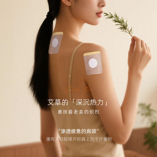 添妃三伏天灸贴系列 商品图1