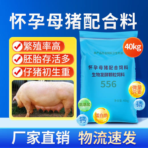 华畜怀孕母猪全价料乳腺丰满防便秘仔猪初生补充营养妊娠保健饲料 商品图1