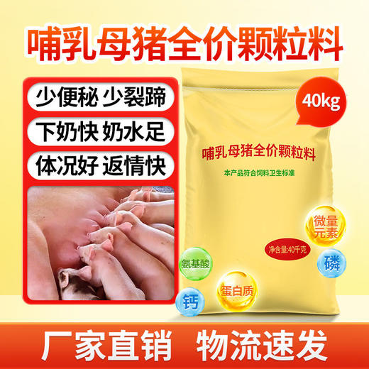 华畜哺乳母猪全价料催乳下奶提高免疫奶水好防便秘产后恢复饲料 商品图0