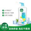 滴露（Dettol）沐浴露薄荷冰爽沐浴露 950g (计价单位：瓶) /个人护理 /身体护理 /沐浴露 商品缩略图2