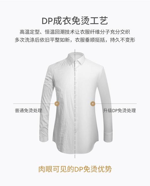 SENDI100支纱全棉成衣免烫女白色长短袖衬衫 商品图3