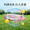 华畜育肥猪全价料催肥增重拉大骨架促进生长早出栏营养肉猪饲料 商品缩略图4
