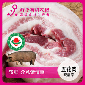 有机猪五花肉500g