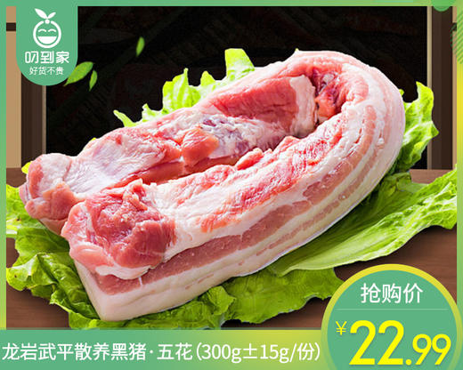 龙岩武平散养黑猪·五花（300g±15g/份） 商品图0