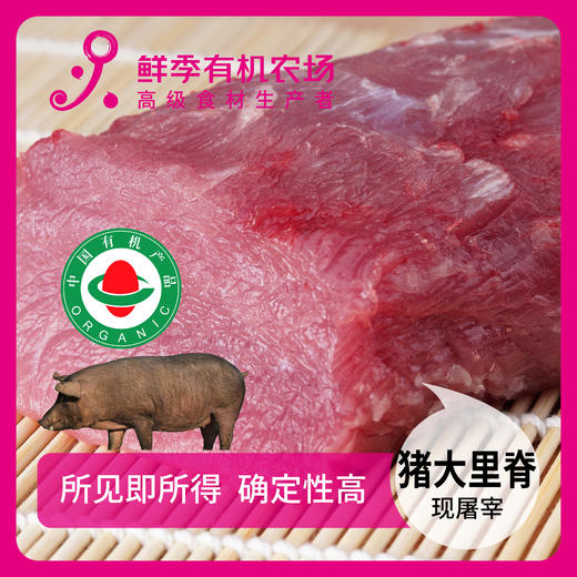 有机猪大里脊500g 商品图0