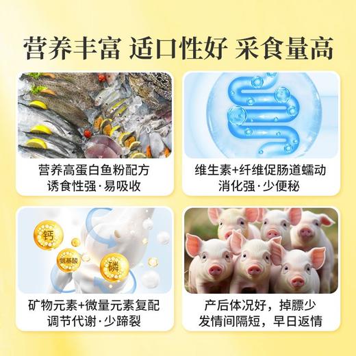 华畜哺乳母猪全价料催乳下奶提高免疫奶水好防便秘产后恢复饲料 商品图4