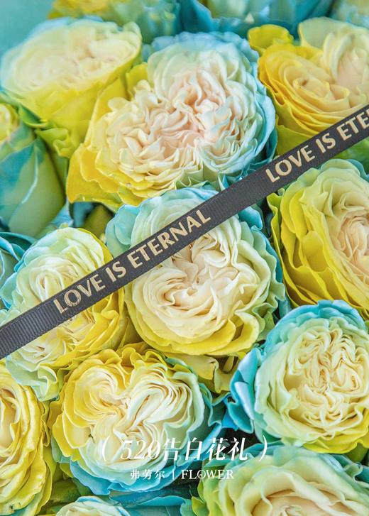 始于心动（厄瓜多尔玫瑰） 商品图3