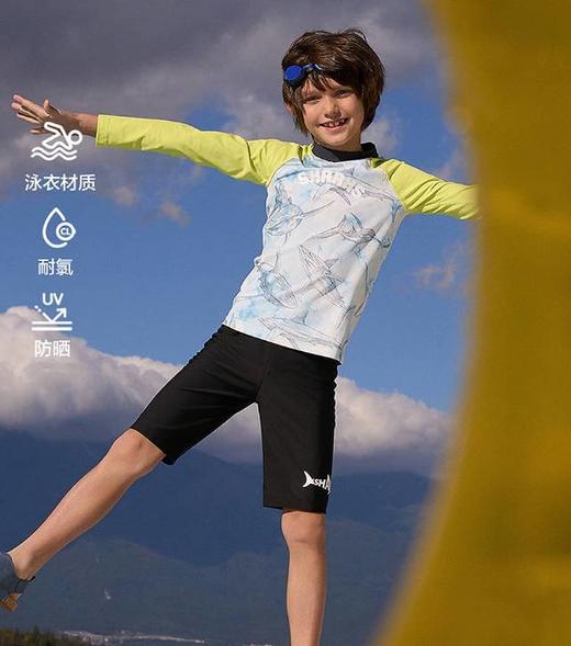 【春上新】8楼爱慕儿童Aimer Kids男孩2件装-鲨鱼迷踪五分泳裤AK267H272，吊牌价299元 商品图0