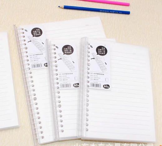 苏铁时光一拉夹活页本 商品图2