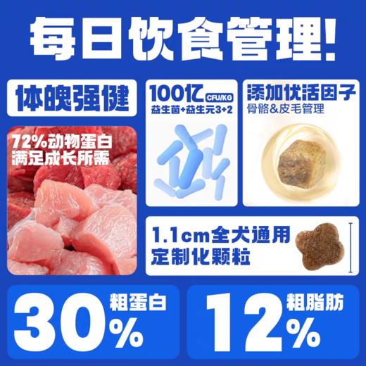 伯纳天纯经典系列中大型犬老年犬高龄犬6岁以上15kg 商品图1