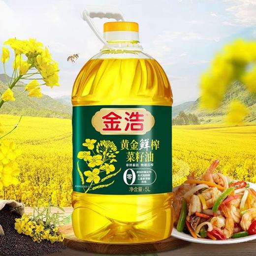 金浩 黄金鲜榨菜籽油 5L/桶 商品图1