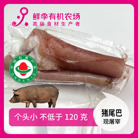 有机猪尾巴一个