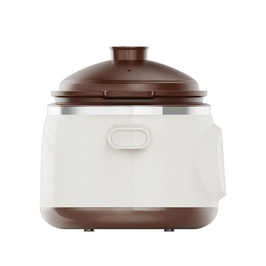 九阳电炖锅DG30Z-GD636 商品图3