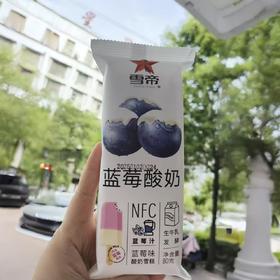雪帝蓝莓酸奶80g