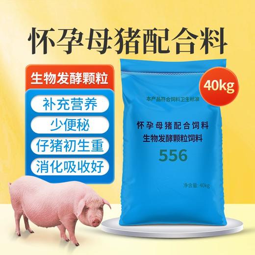 华畜怀孕母猪全价料乳腺丰满防便秘仔猪初生补充营养妊娠保健饲料 商品图2