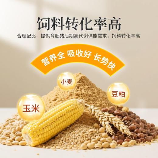 华畜育肥猪全价料催肥增重拉大骨架促进生长早出栏营养肉猪饲料 商品图2