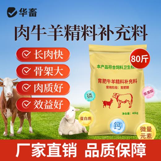 华畜肉牛羊精料催肥增重促消化吸收好增强免疫早出栏补充营养饲料 商品图1
