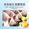 华畜育肥猪全价料催肥增重拉大骨架促进生长早出栏营养肉猪饲料 商品缩略图3