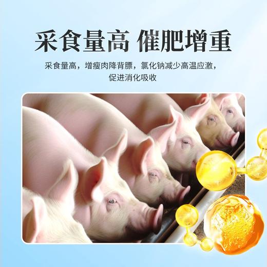 华畜育肥猪全价料催肥增重拉大骨架促进生长早出栏营养肉猪饲料 商品图3
