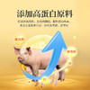 华畜后备母猪全价料补充营养促进发育提高繁殖抵抗力强高蛋白饲料 商品缩略图3