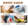 滴露（Dettol）消毒液1.2L皮肤消毒衣物消毒家居消毒 宠物环境消毒 消毒水 /家庭清洁/纸品 /家庭环境清洁 /消毒液 商品缩略图1