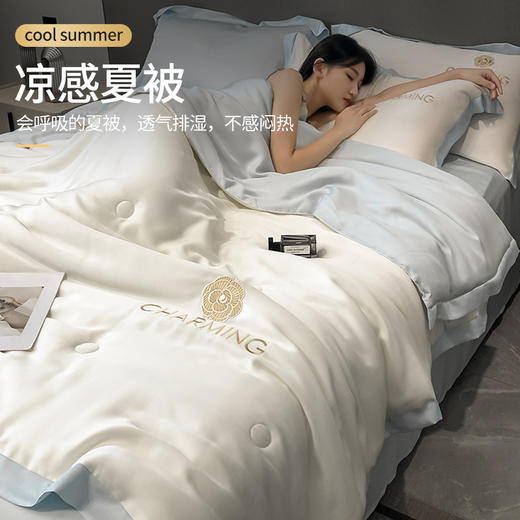 2025新款A类凉感丝夏被冰丝被子被芯可机水洗空调被夏凉被 商品图0