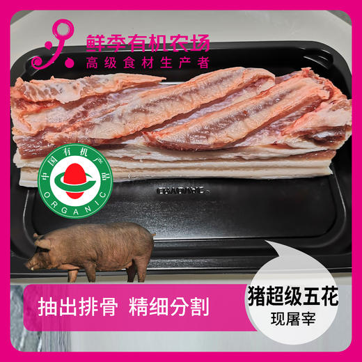 有机猪超级五花肉500g 商品图0