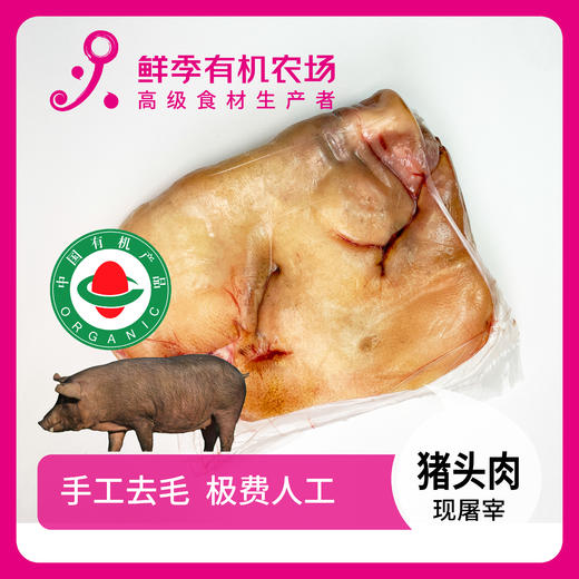 有机猪头整一个不含耳朵舌头精修净重4斤左右 商品图0