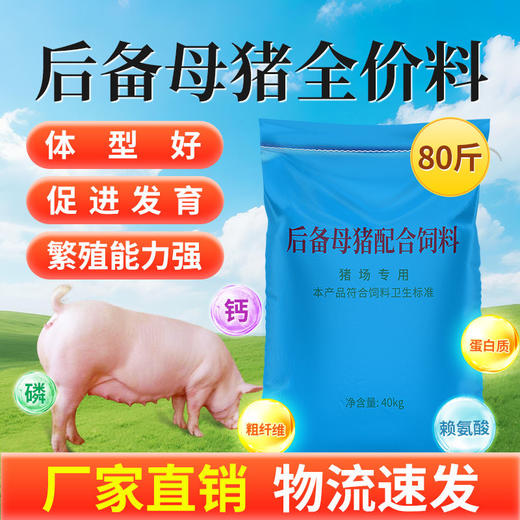华畜后备母猪全价料补充营养促进发育提高繁殖抵抗力强高蛋白饲料 商品图0