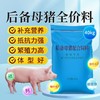 华畜后备母猪全价料补充营养促进发育提高繁殖抵抗力强高蛋白饲料 商品缩略图2