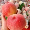 沙地 水蜜桃 精品果    （放软后爆汁） 商品缩略图0
