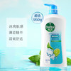 滴露（Dettol）沐浴露薄荷冰爽沐浴露 950g (计价单位：瓶) /个人护理 /身体护理 /沐浴露 商品缩略图0