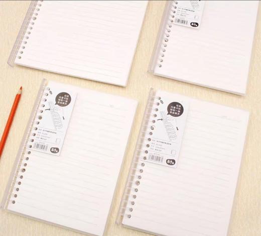 苏铁时光一拉夹活页本 商品图1