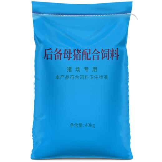 华畜后备母猪全价料补充营养促进发育提高繁殖抵抗力强高蛋白饲料 商品图9