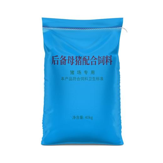 华畜后备母猪全价料补充营养促进发育提高繁殖抵抗力强高蛋白饲料 商品图8