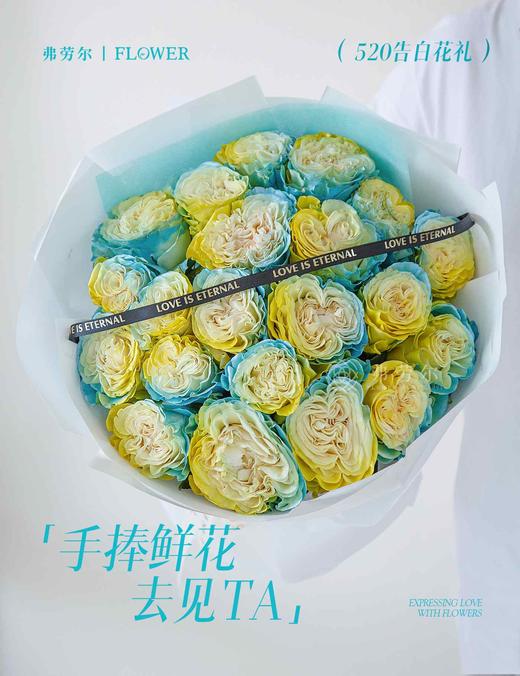 始于心动（厄瓜多尔玫瑰） 商品图0