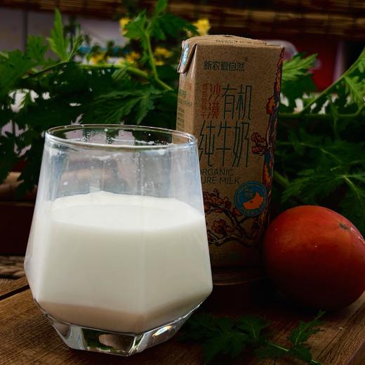 合作产品/ 有机纯牛奶 包邮 商品图2