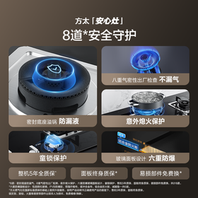 方太02-TH33B燃气灶家用双灶天然气猛火灶具