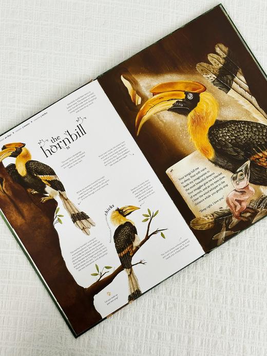 【Clavis】Wild about Mom原版英文儿童绘本 商品图2