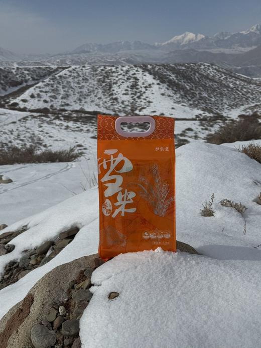 新疆羊脂籽米（玉芽种） 商品图5