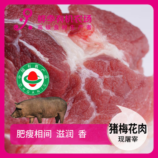 有机猪梅花肉500g 商品图0