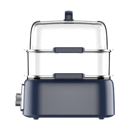 九阳电蒸锅DZ100HG-GZ666 商品图3