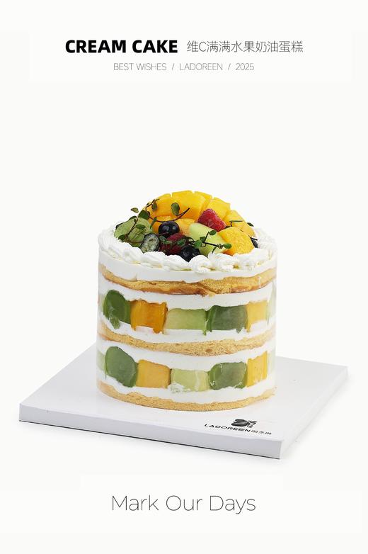 维C满满水果奶油蛋糕 商品图0