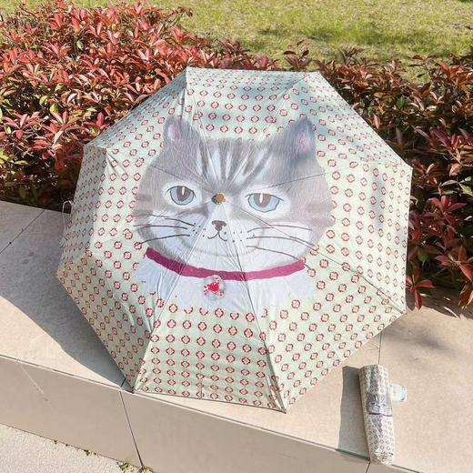 Kusuguru猫咪印花晴雨伞防晒防紫外线便携折叠伞 商品图6