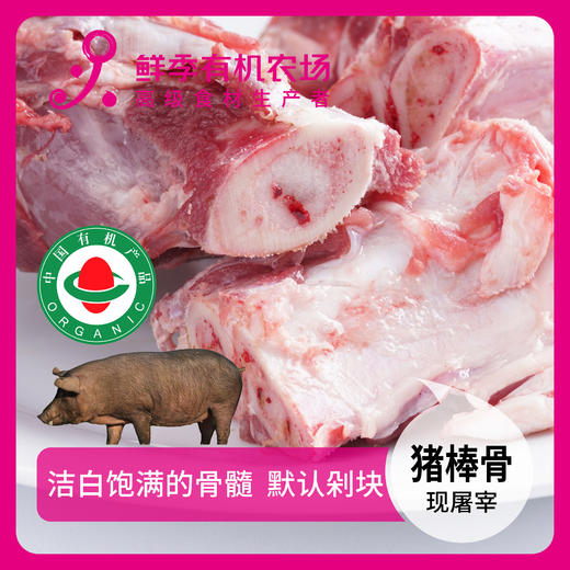 有机猪棒骨一根1000g至1300g 商品图0